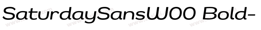 SaturdaySansW00 Bold字体转换